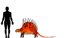 Dimetrodongigashomogenessize