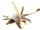 Seazzadactylus