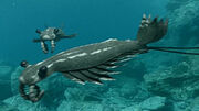 Anomalocaris 2