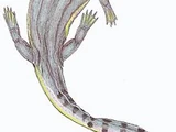 Bageherpeton