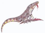 Chasmatosuchus1DB