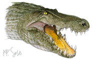 Mahajangasuchus-head