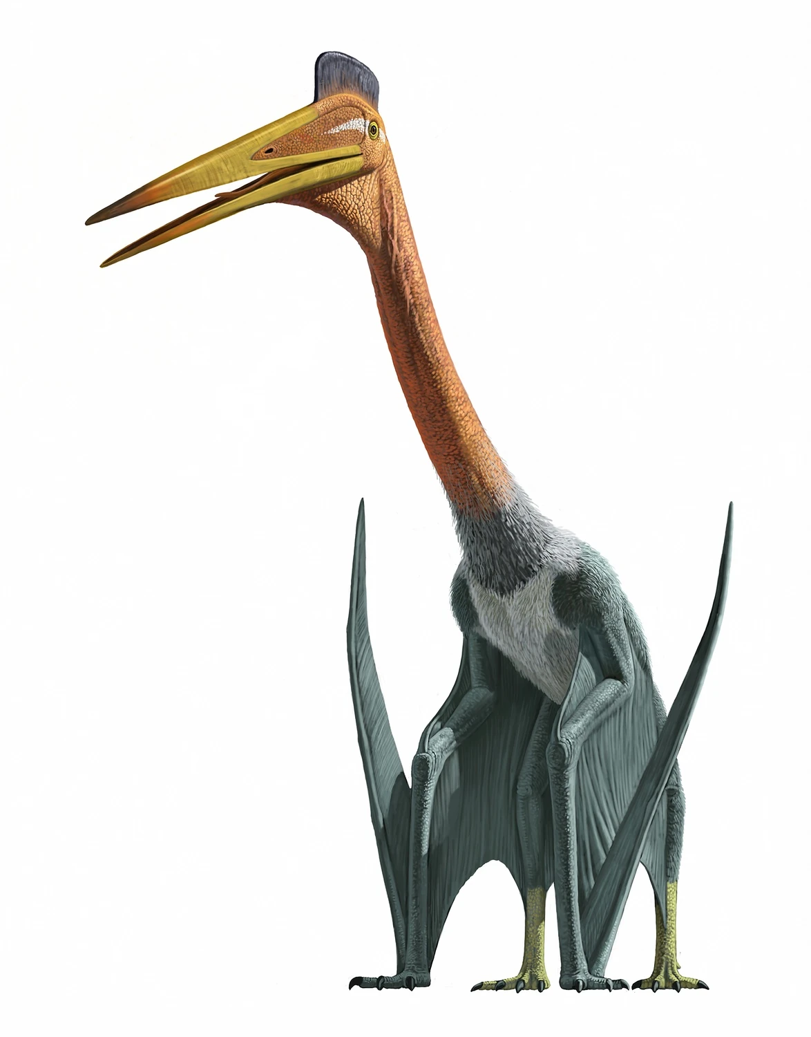 quetzalcoatlus figure