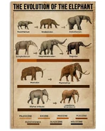 Regular.jpg (172 KB) Upper center.