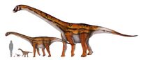 Titanosaurs-were-the-b