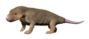 Abdalodon