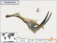 Akharhynchus by cisiopurple .jpg (110 KB) Akharhynchus by cisiopurple