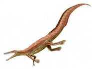 Mesosaurus tenuidens.