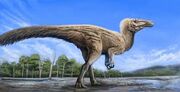 Timimus tyrannosaurid