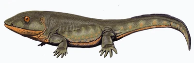 Albanerpetontids