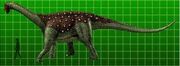Download Saltasaurus
