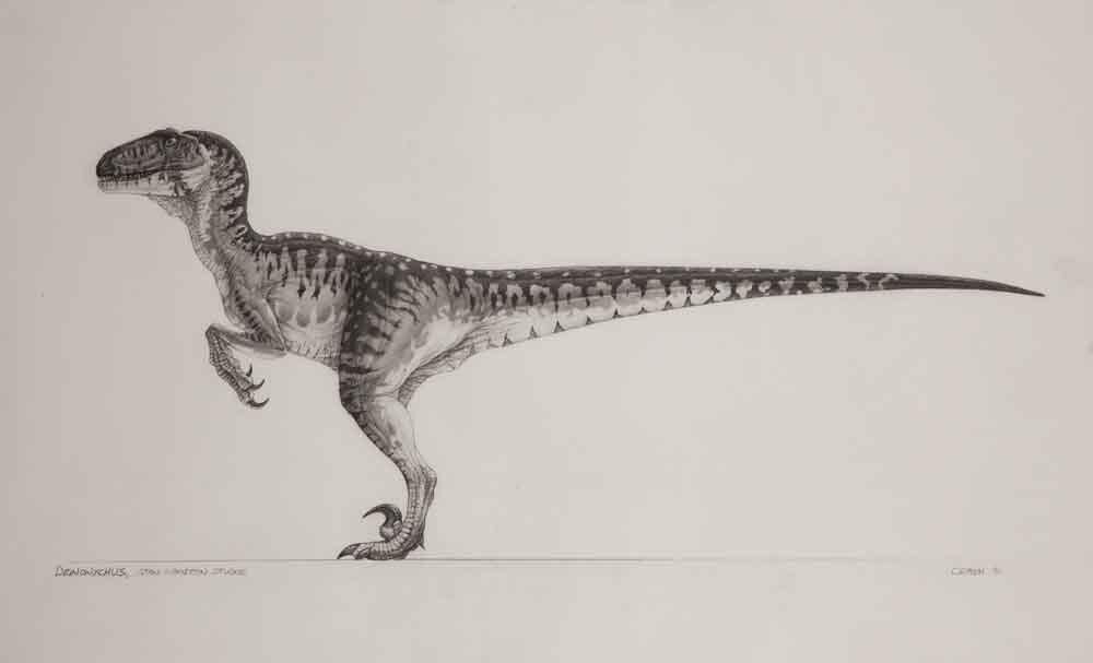 Deinonychus, Dinopedia