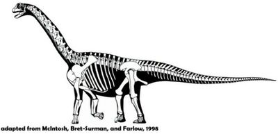 Oplosaurus.jpg