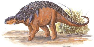 Panoplosaurus, Dinopedia