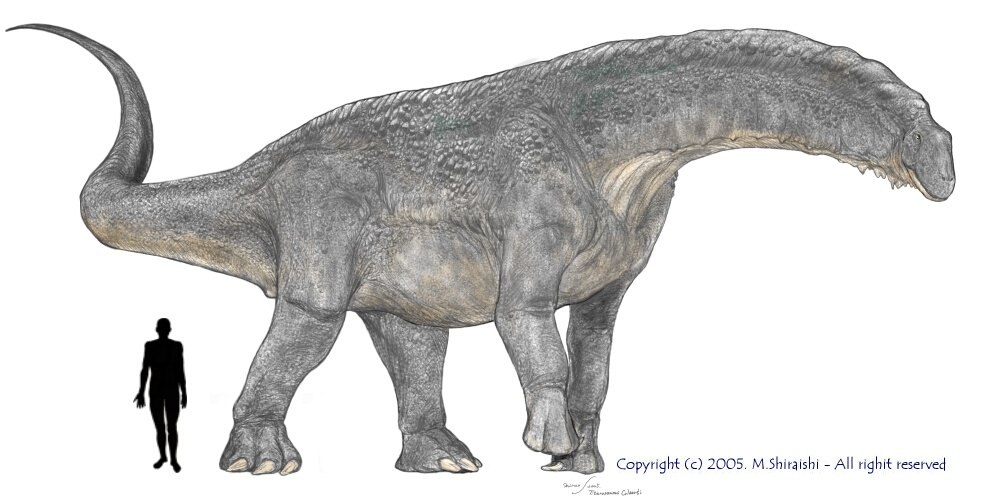 titanosaurus dinosaur