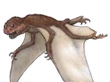 Jeholopterus
