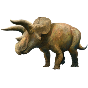 1200px-202007 Triceratops horridus.svg