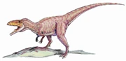 Eustreptospondylus feeding on an 