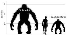 Size Giganto.jpeg