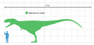 Mapusaurus scale