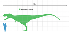 Mapusaurus scale