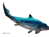 Mixosaurus