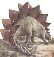 Stegosaurus stenops