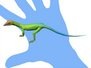 Life reconstruction of Cosesaurus aviceps