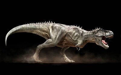 Tyrannosaurus-rex.73505.jpg