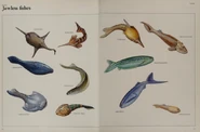 Jawless Fish collection.png (397 KB)