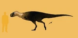 Life restoration of Rahiolisaurus gujaratensis by Dadinonerdboi.