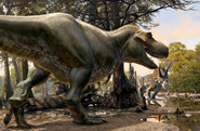 Tyrannosaurus and Triceratops.