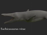 Sachicasaurus