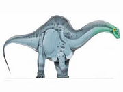 JPI Apatosaurus