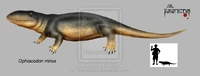 Ophiacodon mirus.jpg (42 KB) Ophiacodon mirus.