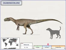 Chuandongocoelurus img
