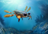 Life reconstruction of Callichimaera perplexa