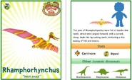 Dinosaur Train Rhamphorhynchus
