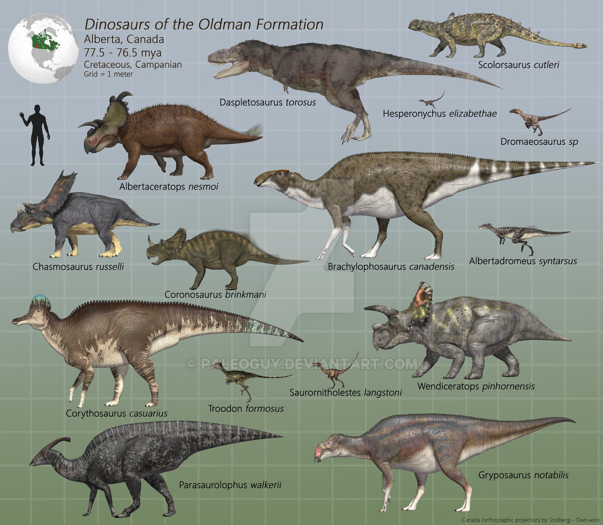 albertadromeus-dinopedia-fandom