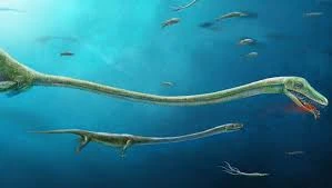 Dinocephalosaurus Dinopedia Fandom