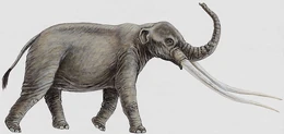 An artist's impression of Anancus.