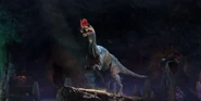 A pack of Sinosauruses from Dino Tour.