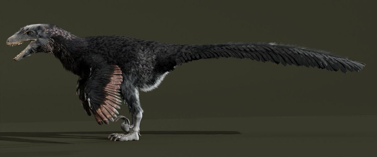 This is my Deinonychus! There are many like him, but this one is