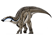 JPI Naashoibitosaurus.png
