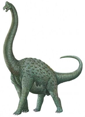 Pcab224 pelorosaurus.jpg