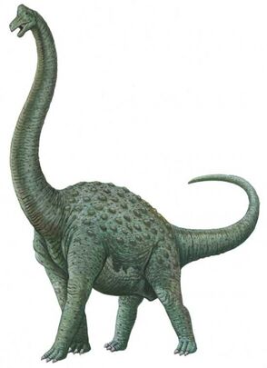 Pcab224 pelorosaurus