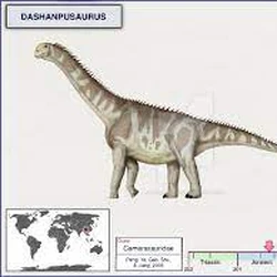 Category Macronaria Dinopedia Fandom The name daanosaurus means da'an lizard after da'an district in zigong, sichuan and was an extinct genus of dinosaur. category macronaria dinopedia fandom