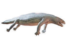 Render of Helveticosaurus from Dinopedia 3D