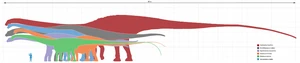 Comparison of selected sauropods in terms of size