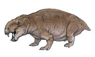 Dinodontosaurus oliveirai.